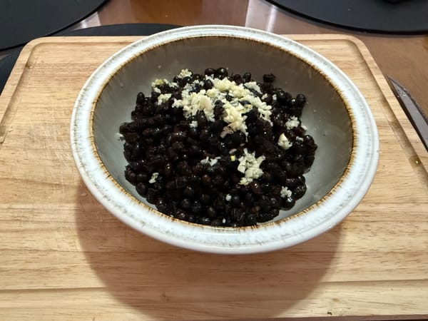Chicatanas de Oaxaca